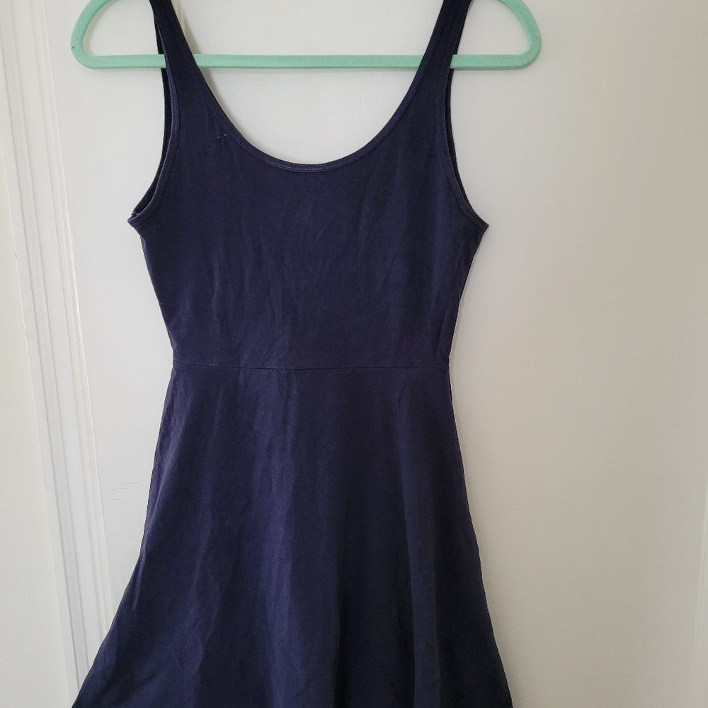 Express Skater Dress Navy Blue